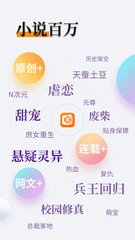 开云游戏APP